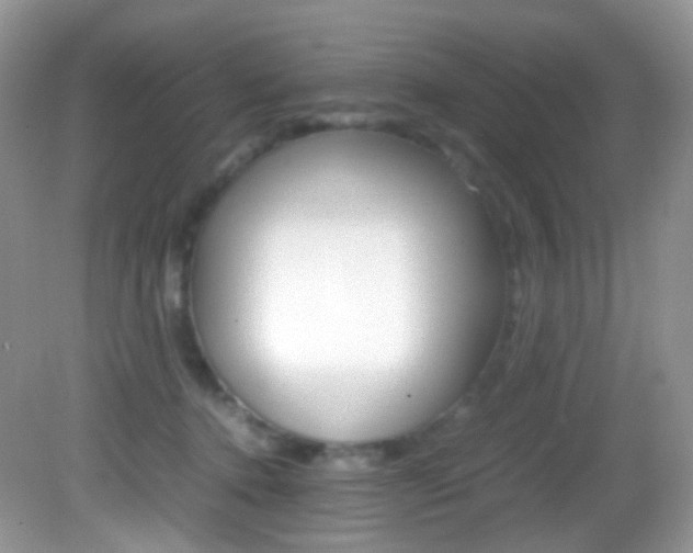 X0000082940368200702011118