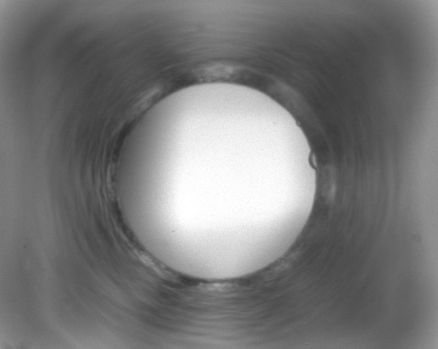 X0000082940378200702011118