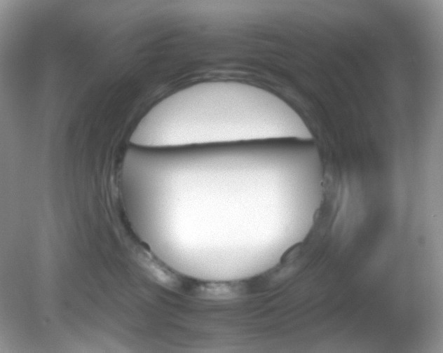 X0000082940381200702011118