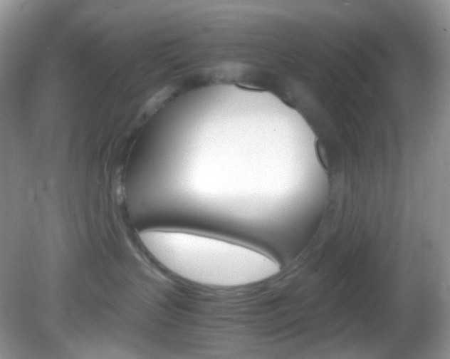 X0000082940383200702011118