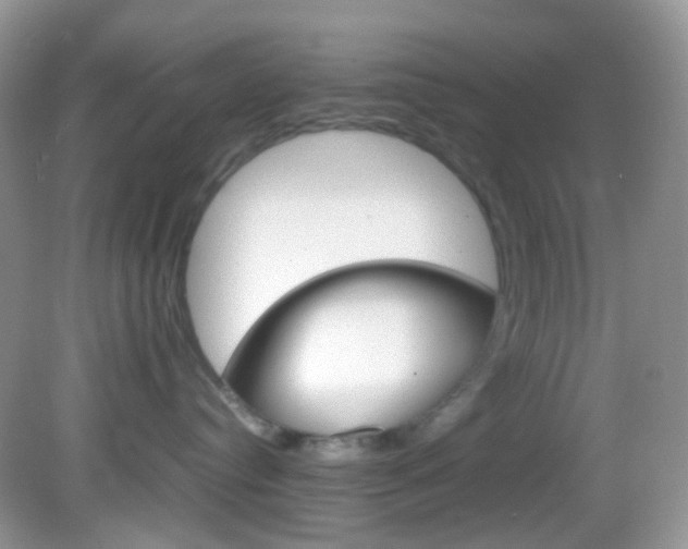 X0000082940384200702011118
