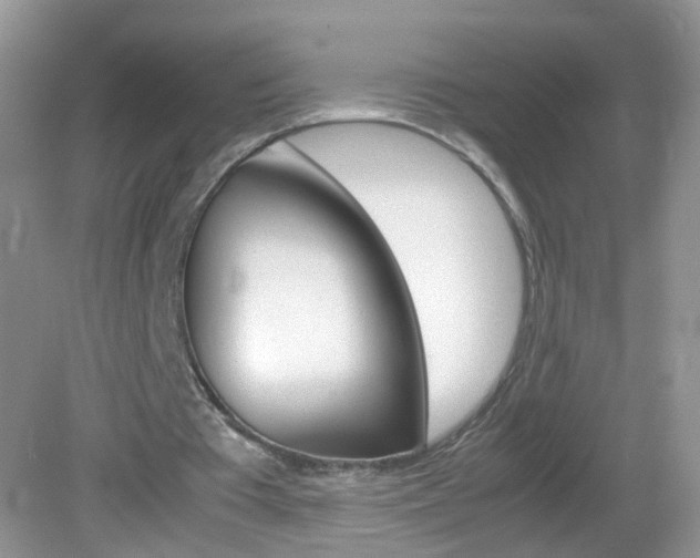 X0000082940385200702011117