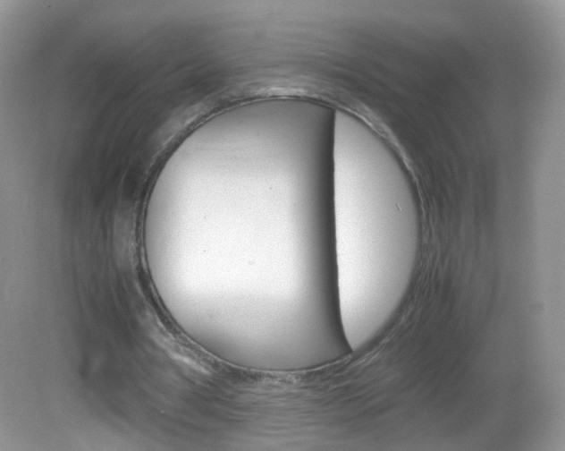 X0000082940386200702011117