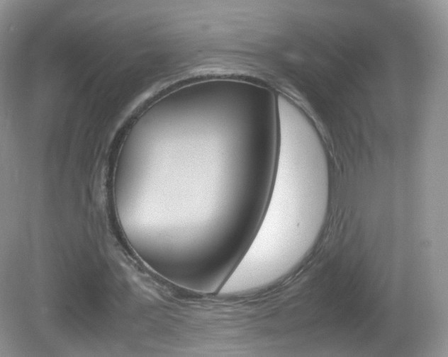 X0000082940387200702011117