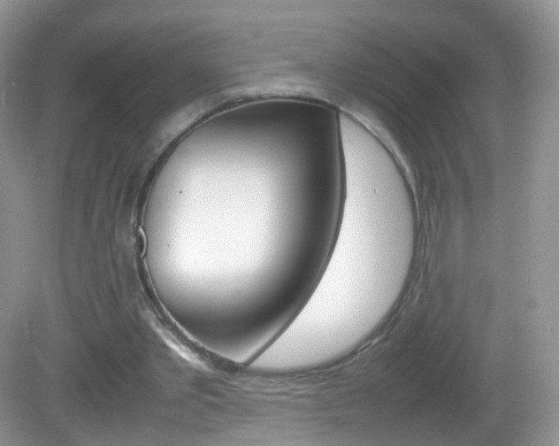 X0000082940389200702011117
