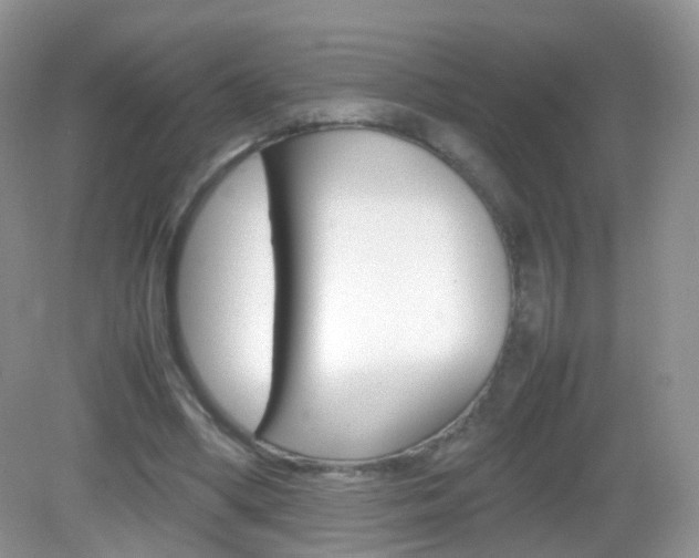 X0000082940394200702011117