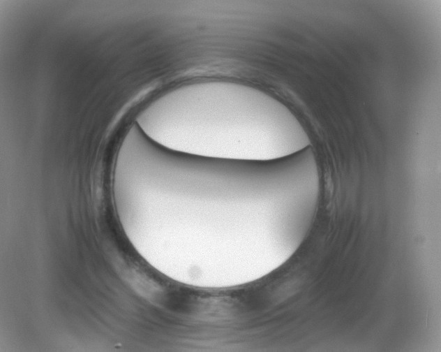 X0000082940396200702011117