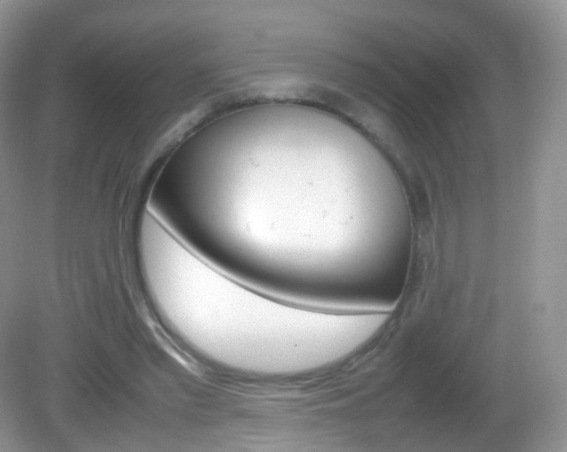 X0000082940397200702011117
