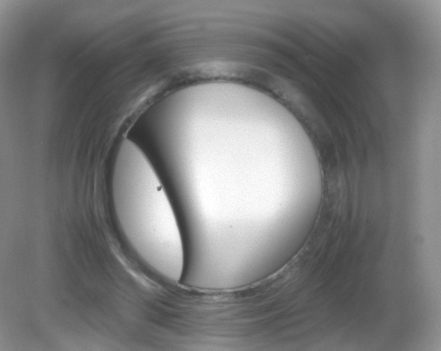 X0000082940398200702011117