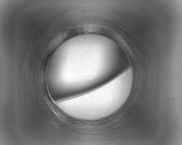 X0000082940401200702011117