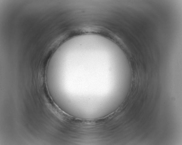 X0000082940402200702011117