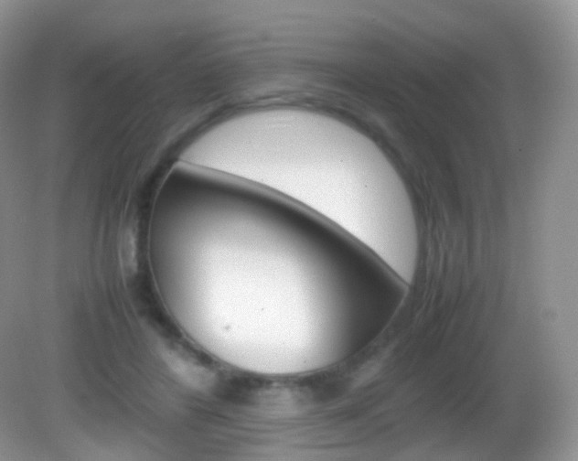 X0000082940404200702011117