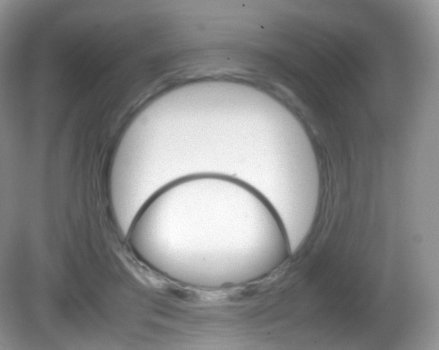 X0000082940405200702011117