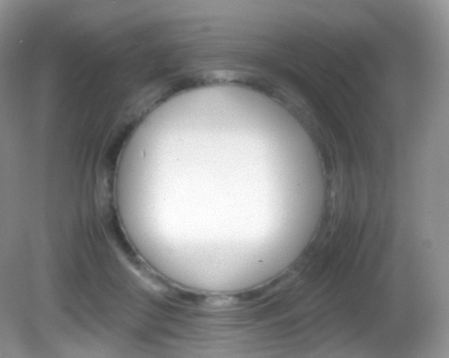 X0000082940410200702011117