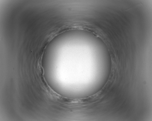 X0000082940415200702011117
