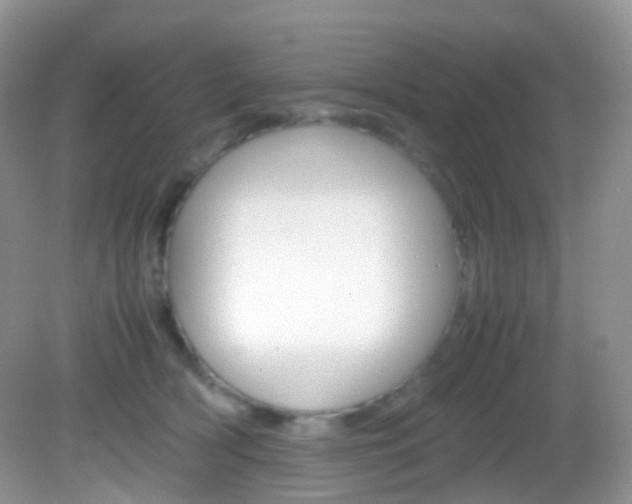 X0000082940418200702011117