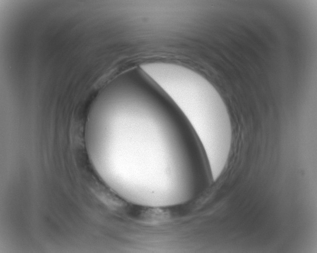 X0000082940421200702011117
