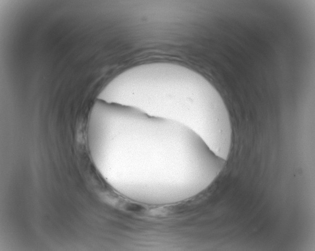 X0000082940423200702011117