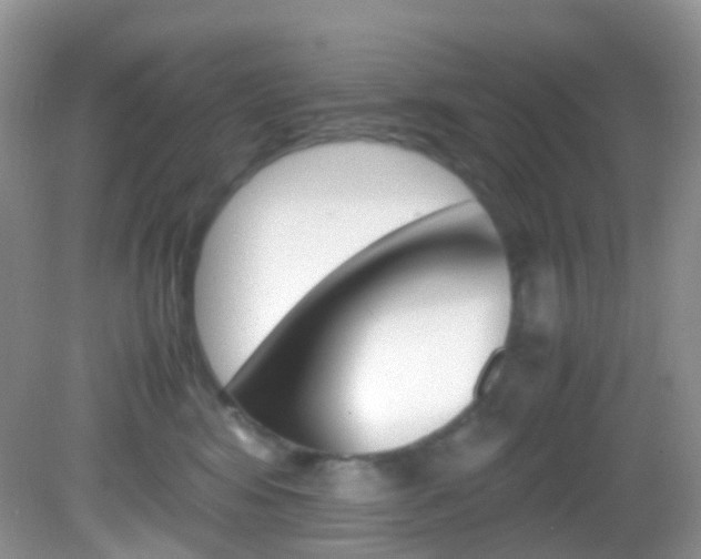 X0000082940424200702011117