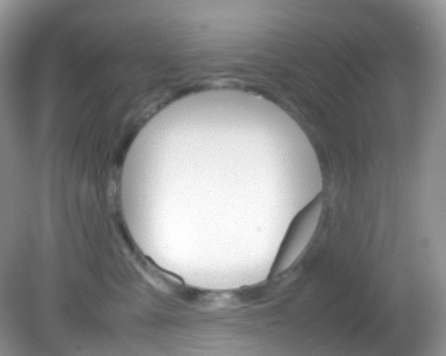 X0000082940427200702011117