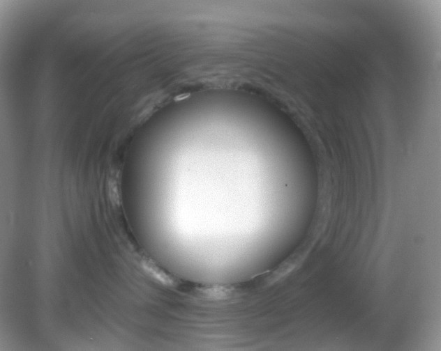 X0000082940432200702011117