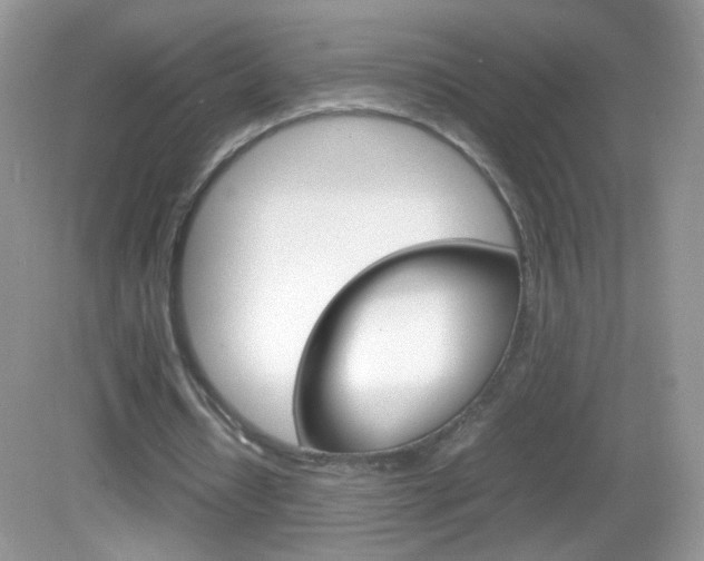 X0000082940434200702011116
