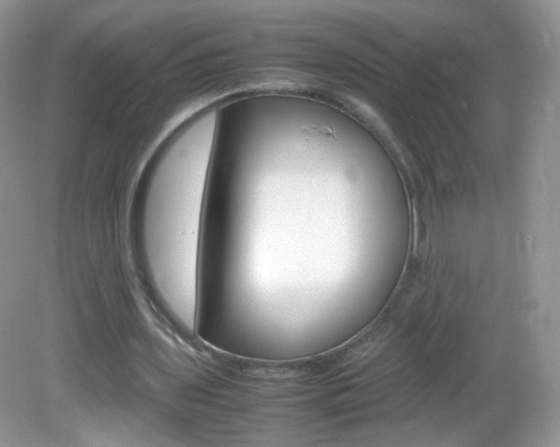 X0000082940435200702011116