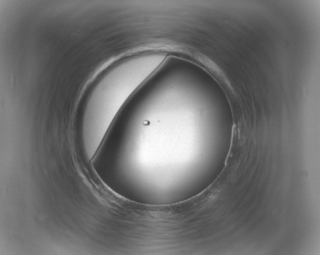 X0000082940436200702011116