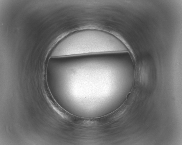 X0000082940437200702011116