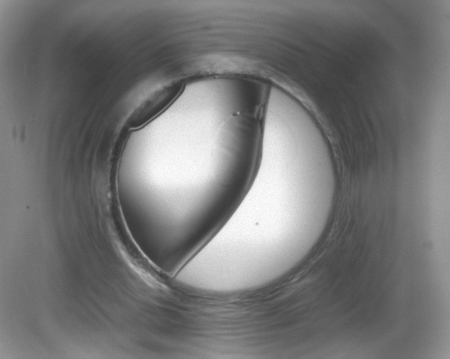 X0000082940438200702011116