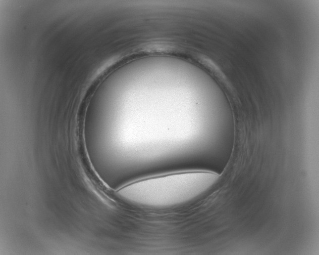 X0000082940439200702011116