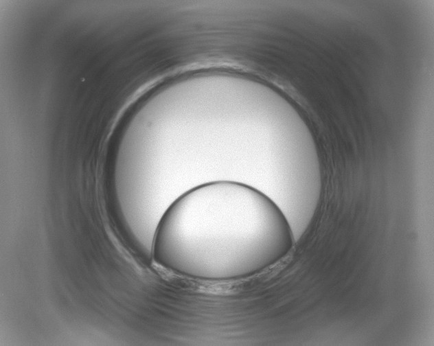 X0000082940440200702011116