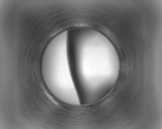 X0000082940441200702011116