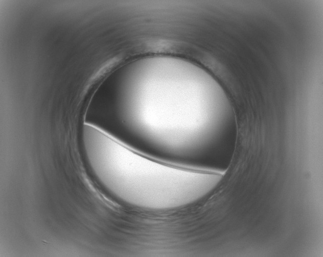 X0000082940442200702011116