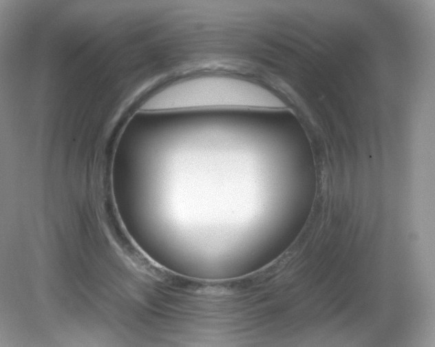 X0000082940444200702011116