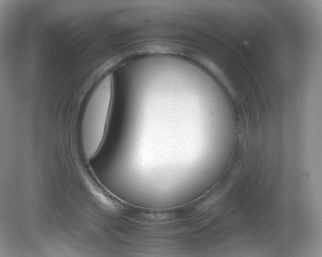 X0000082940445200702011116