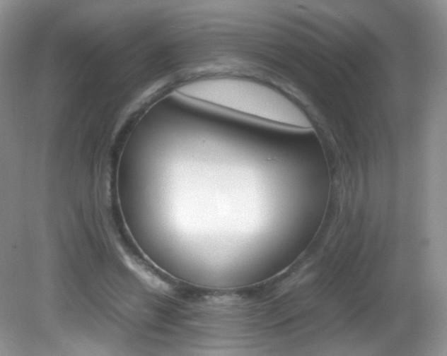X0000082940446200702011116