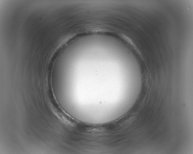X0000082940447200702011116