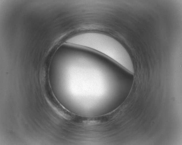 X0000082940448200702011116