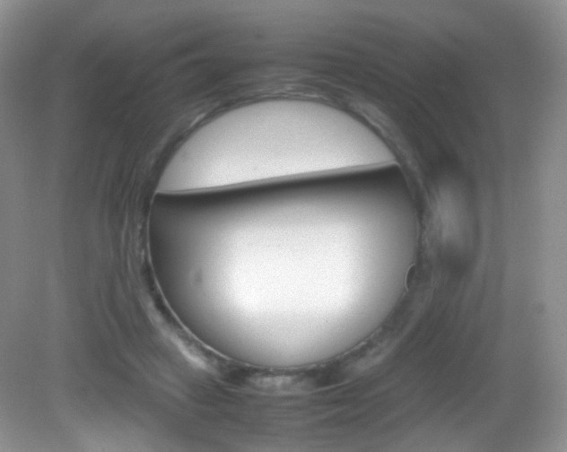 X0000082940449200702011116