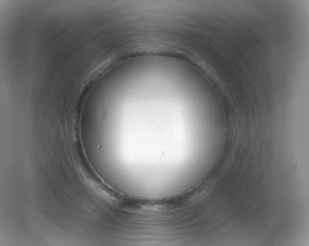 X0000082940450200702011116