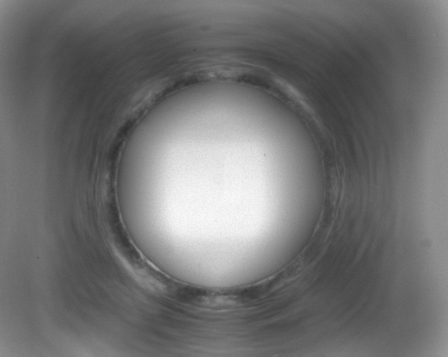 X0000082940451200702011116