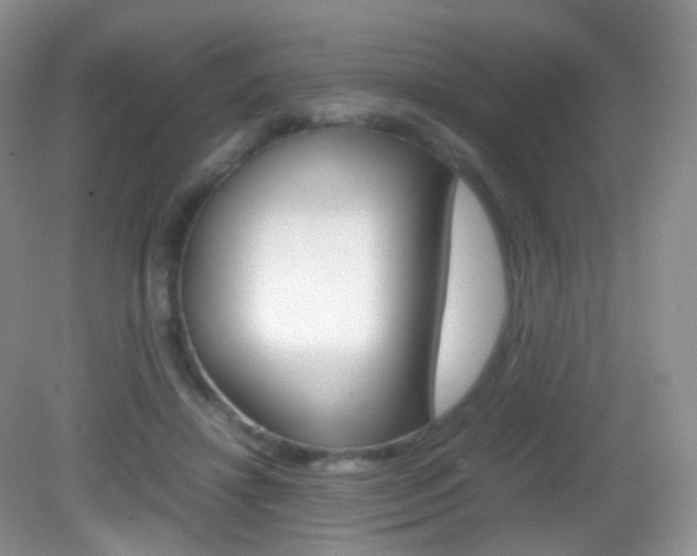 X0000082940452200702011116