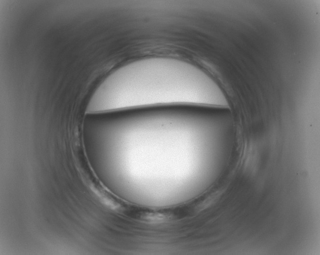 X0000082940453200702011116