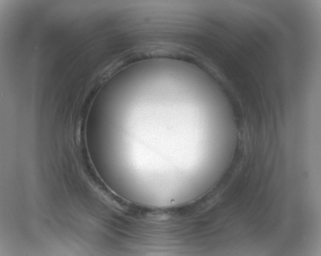 X0000082940454200702011116
