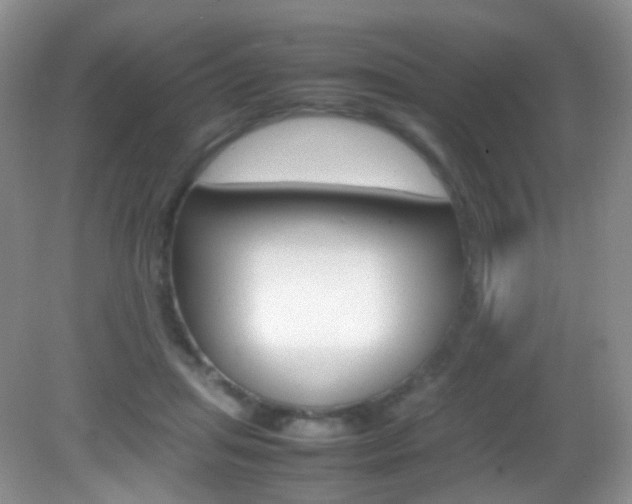 X0000082940455200702011116