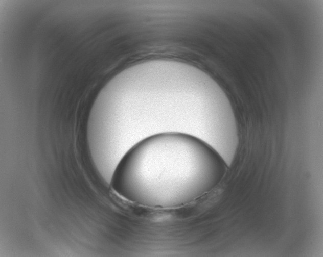 X0000082940456200702011116