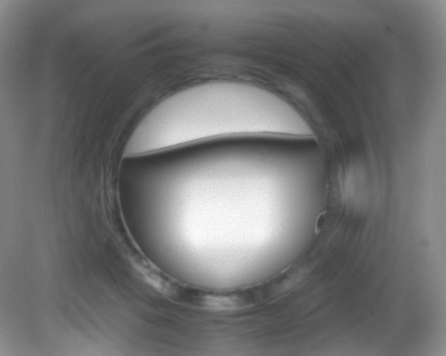 X0000082940457200702011116