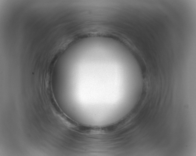 X0000082940458200702011116