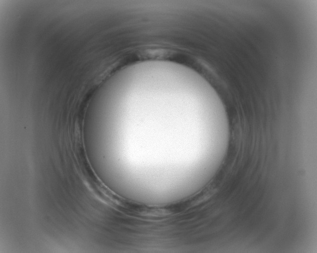 X0000082940459200702011116